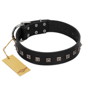 "Natural Beauty" Premium Quality FDT Artisan Black Designer English Bull Terrier Collar with Dotted Studs