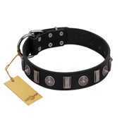 "Silver Spikes" Exclusive FDT Artisan Black Leather English Bull Terrier Collar