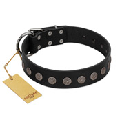 "Silent Star" Handmade FDT Artisan Designer Black Leather English Bull Terrier Collar with Engraved Plates