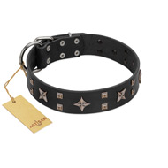 "Star Excitement" Modern FDT Artisan Black Leather English Bull Terrier Collar with Studs and Stars