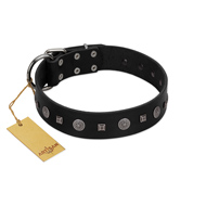 "Mr. Elegance" Designer FDT Artisan Black Leather English Bull Terrier Collar with Silver-Like Studs