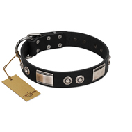 "Grand Wear" FDT Artisan Black Leather English Bull Terrier Collar with Shining Plates and Spiked Studs
