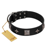 "Black Cavalier" Handmade FDT Artisan Black Leather English Bull Terrier Collar with Silver-Like Stars and Large Plates