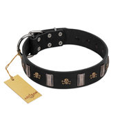 "Pirates' Symbol" Fashionable FDT Artisan Black Leather English Bull Terrier Collar with Silver-Like Plates and Gold-Like Skulls