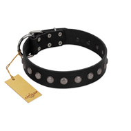 "Silver Flower" Exclusive FDT Artisan Black Leather English Bull Terrier Collar with Silver-Like Studs