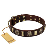 "Skull's Adventure" FDT Artisan Brown Leather English Bull Terrier Collar with Plates and Ovals