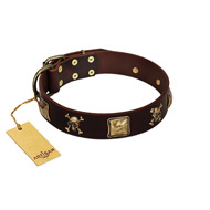 "Crazy Pirate" FDT Artisan Brown Leather English Bull Terrier Collar with Old Bronze-Plated Skulls and Plates