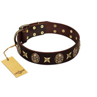 "Captain Hook" FDT Artisan Brown Leather English Bull Terrier Collar with Stars and Skulls
