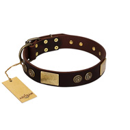 "Bow-Wow Effect" FDT Artisan Brown Leather English Bull Terrier Collar with Plates and Ornate Studs