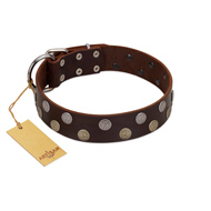 "Shadow Warrior" FDT Artisan Mystic Brown Leather English Bull Terrier Collar with Runes