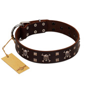 "Menacing Allure" FDT Artisan Brown Leather English Bull Terrier Collar Embellished with Silvery Crossbones and Square Studs