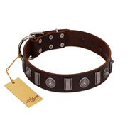 "Spiky Way" FDT Artisan Brown Leather English Bull Terrier Collar with Silver-Like Decorations