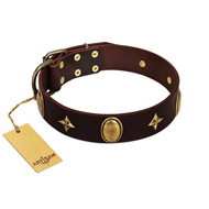 "Victory and Laurels" FDT Artisan Brown Leather English Bull Terrier Collar with Ovals and Stars