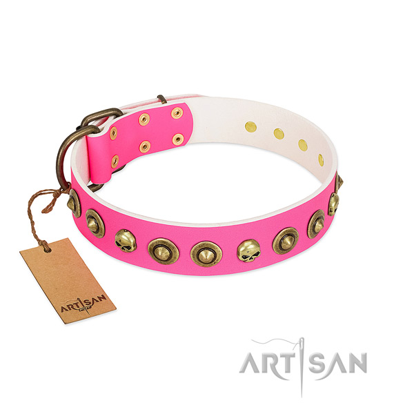Designer natural leather dog collar with corrosion proof embellishments
