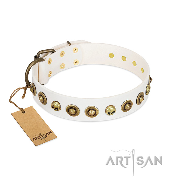 Genuine leather collar with extraordinary embellishments for your pet