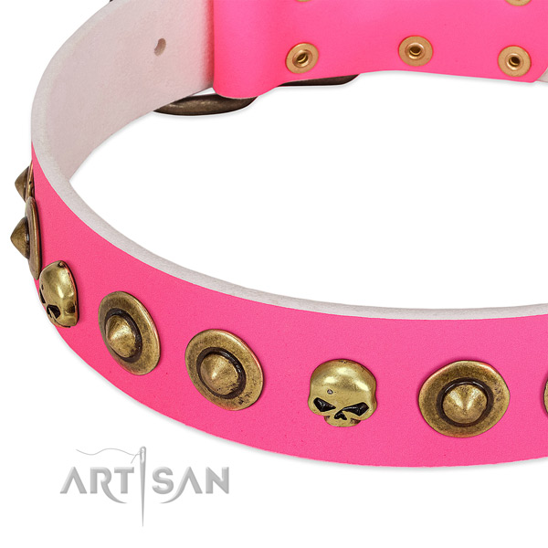 Significant studs on full grain natural leather collar for your pet