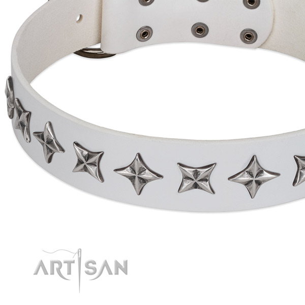 Comfy wearing studded dog collar of top notch leather
