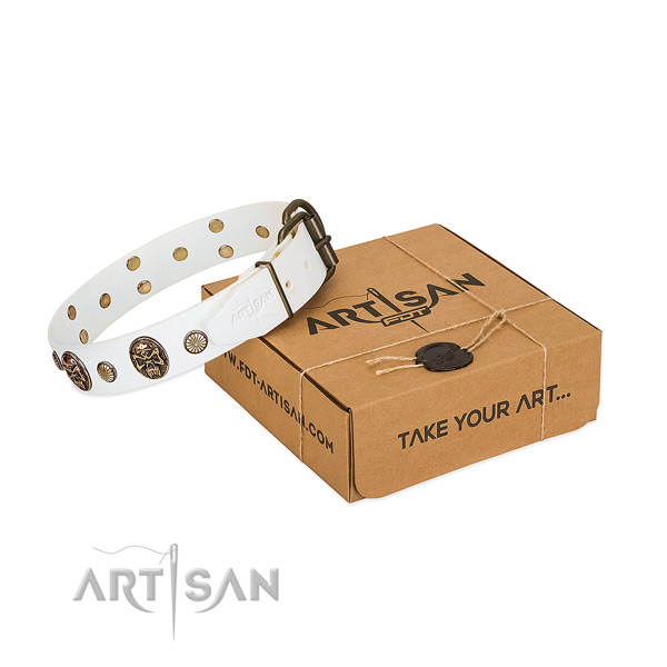 Strong hardware on leather dog collar for fancy walking