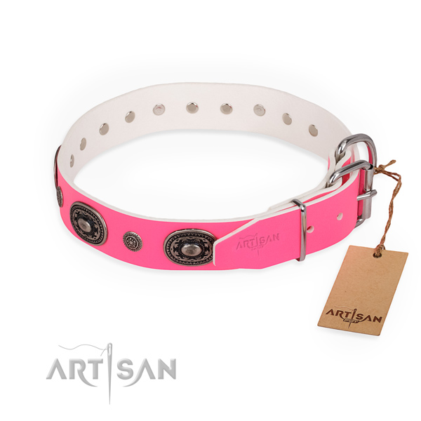 Fancy walking extraordinary dog collar with durable D-ring