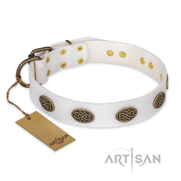 Stunning leather dog collar with corrosion resistant traditional buckle