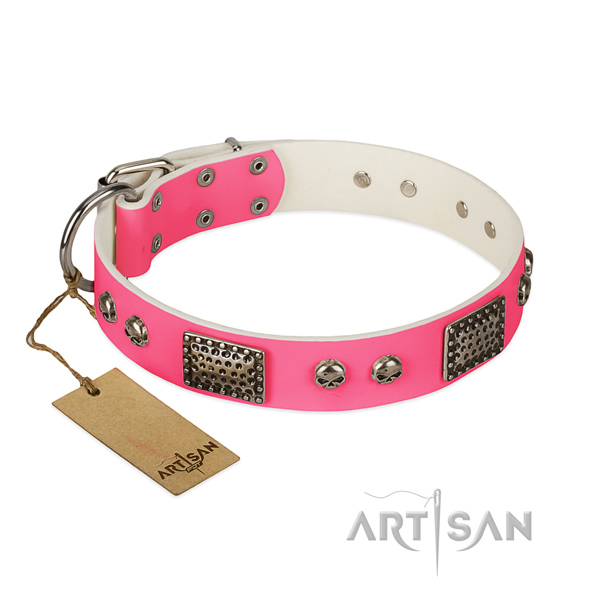 Easy to adjust full grain genuine leather dog collar for walking your pet