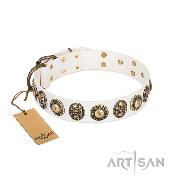 Adjustable full grain natural leather dog collar for everyday walking your pet