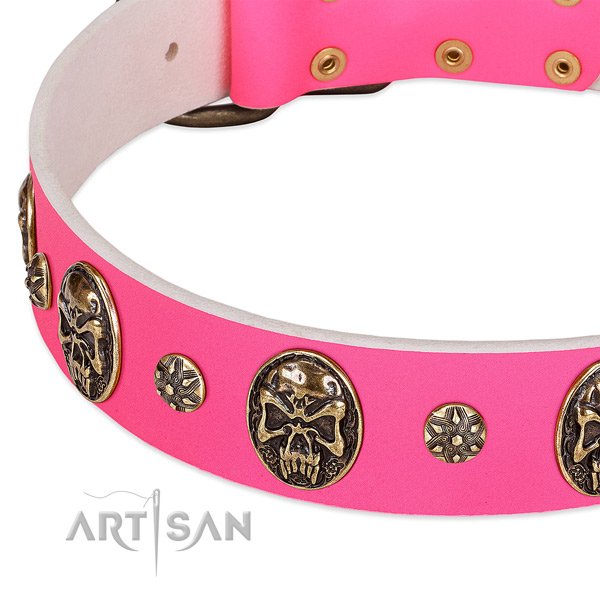 Easy wearing dog collar handmade for your attractive pet