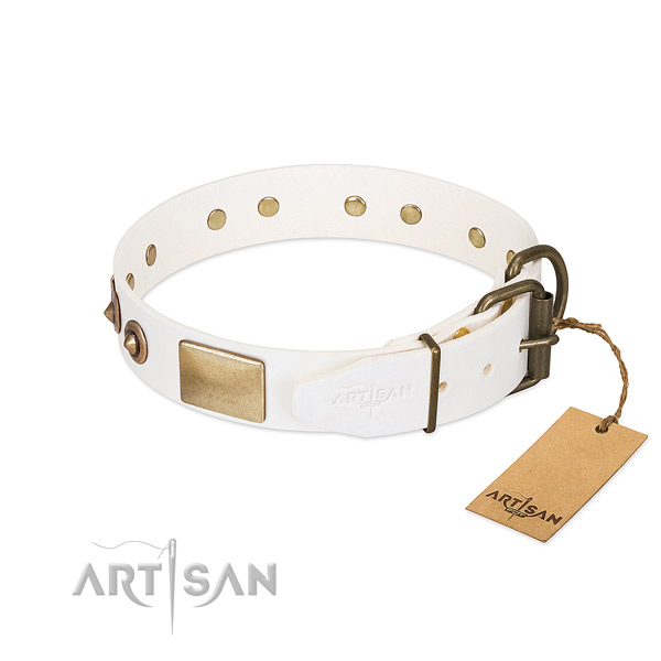 Rust-proof studs on full grain leather dog collar for your pet