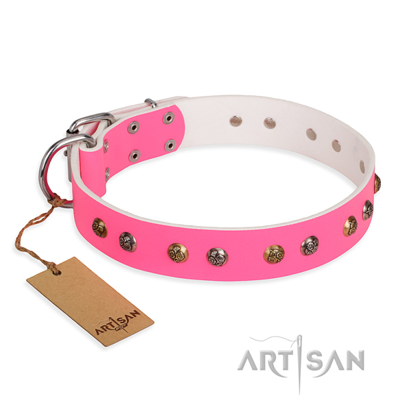 Everyday use unusual dog collar with durable D-ring