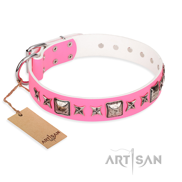 Full grain leather dog collar made of top rate material with strong fittings