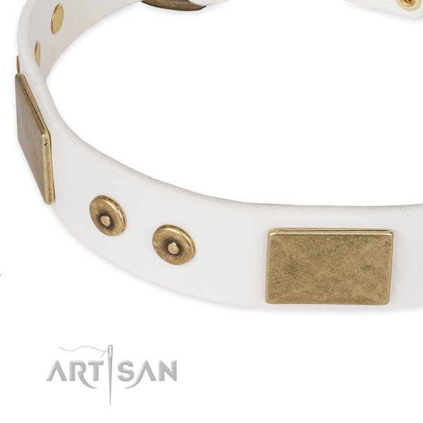 Corrosion proof traditional buckle on natural leather dog collar for your four-legged friend