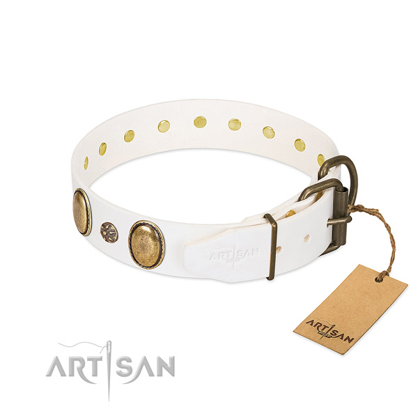 Walking quality full grain leather dog collar with adornments