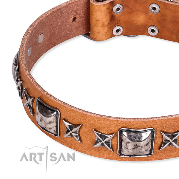 Everyday use decorated dog collar of quality full grain genuine leather