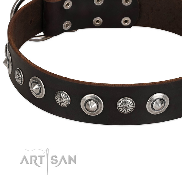 Unusual embellished dog collar of top notch full grain natural leather