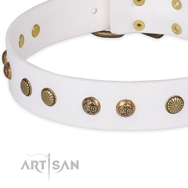 Full grain natural leather collar with strong buckle for your lovely doggie