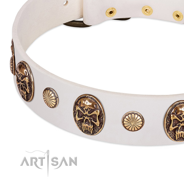 Strong buckle on natural genuine leather dog collar for your canine