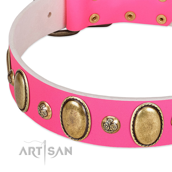Comfortable wearing top rate full grain leather dog collar