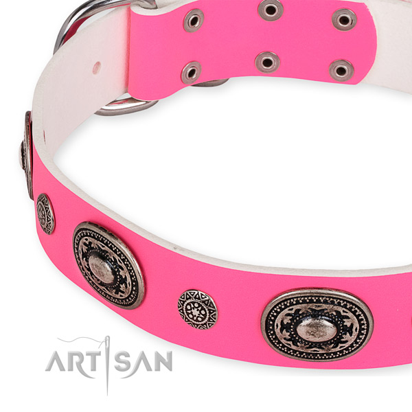Genuine leather dog collar with amazing rust resistant embellishments