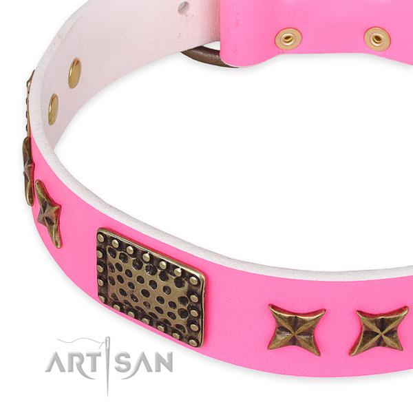 Genuine leather collar with durable hardware for your stylish dog