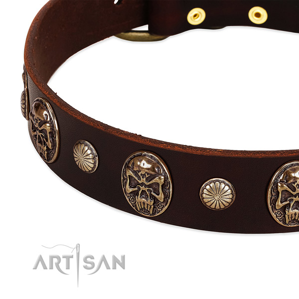 Leather dog collar with decorations for everyday use