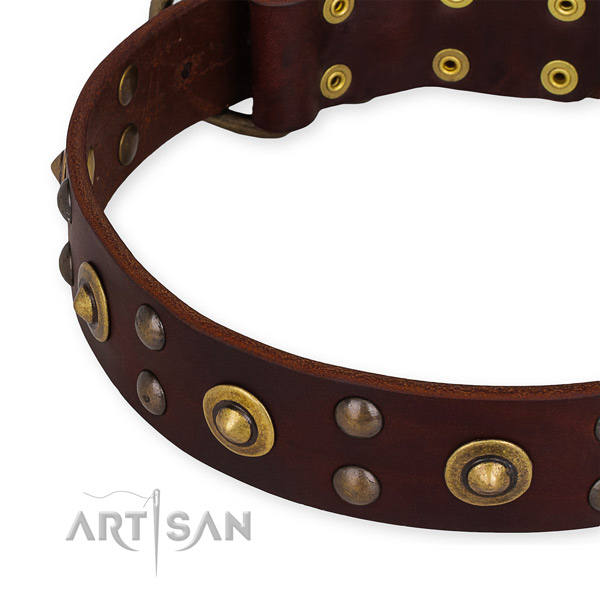 Leather collar with durable traditional buckle for your stylish dog