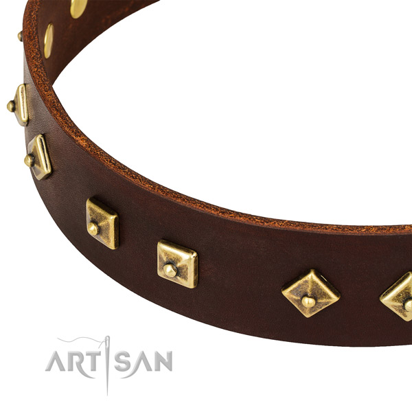 Stunning full grain genuine leather collar for your beautiful pet