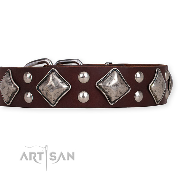 Genuine leather dog collar with awesome rust resistant studs