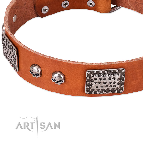 Rust-proof traditional buckle on leather dog collar for your pet