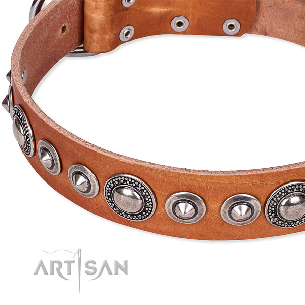 Stylish walking embellished dog collar of durable full grain leather