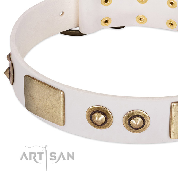 Reliable embellishments on full grain leather dog collar for your doggie