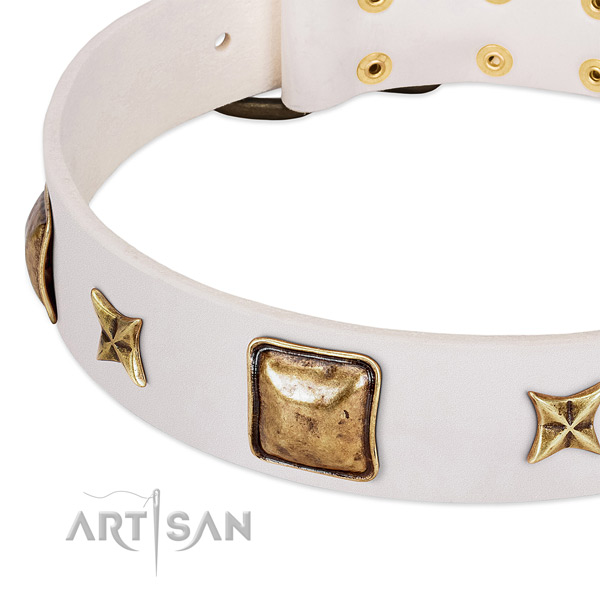 Durable traditional buckle on natural genuine leather dog collar for your four-legged friend