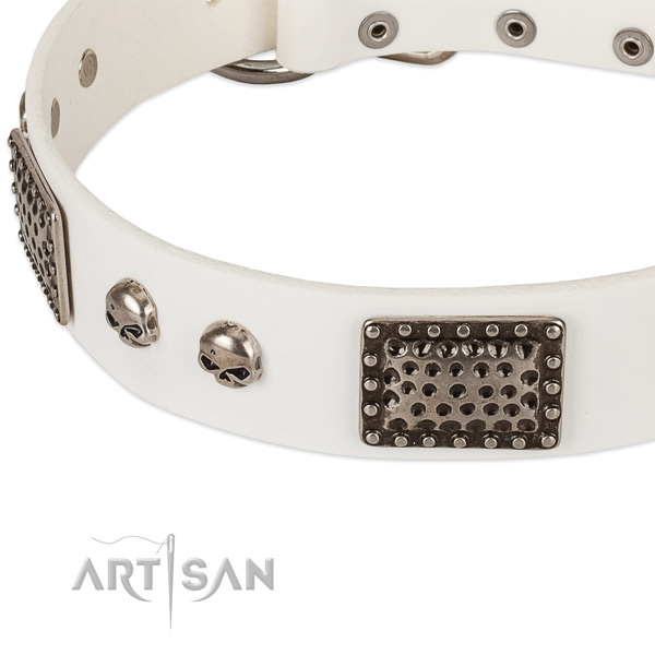 Corrosion resistant adornments on full grain leather dog collar for your four-legged friend