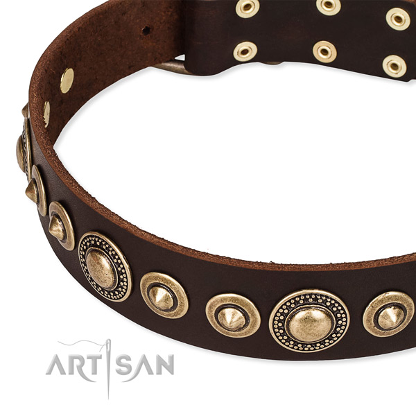 Best quality leather dog collar handcrafted for your impressive dog