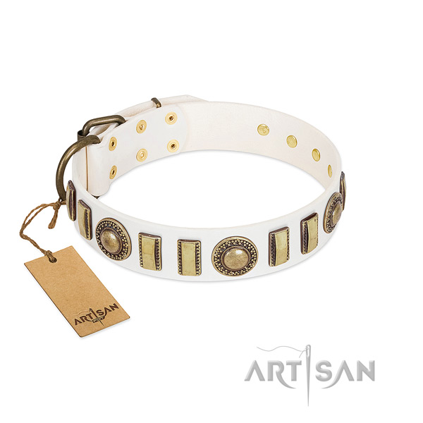 Amazing natural leather dog collar with rust-proof fittings